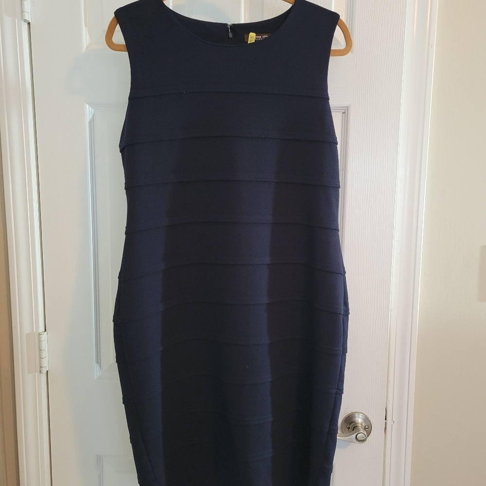 Adrienne Vittadini Scuba-style dress.